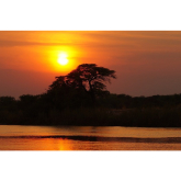 Botswana - the land of twinkling African skies and awesome adventures