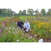 Gardens don’t have to grow wild to attract wildlife says Shrewsbury plant centre specialist