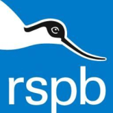 Britain's Birds - Seasonal Highlights