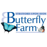 Stratford Butterfly Farm celebrates its 30th anniversary!
