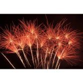 Firework Festivities 2016