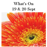 What's On 19 & 20 Sept - Harrogate