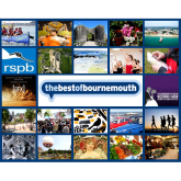 23 things to do in Bournemouth: 18 - 24 September 2015