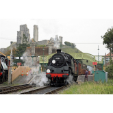 Train enthusiasts turn out for Swanage Railway's Autumn Steam Gala