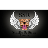Staffie and Stray Rescue - Dorset 