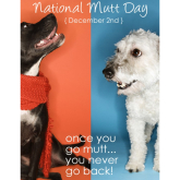 2nd December is National Mutt Day