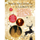 Come and sparkle this December at the Lichfield Christmas Festival!