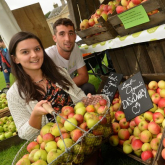 This Week: Go digital at The Old Market, or head off to an autumn fair