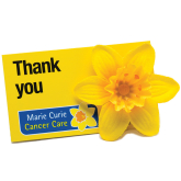  Marie Curie Great Daffodil Appeal