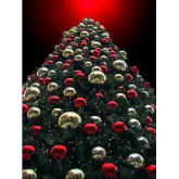 Christmas information and the worlds tallest Christmas tree from The Christmas Decorators 