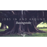 Job in Basingstoke