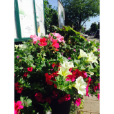 Fleet and Church Crookham in Bloom Competition