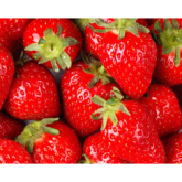 Pick Your Own Fruit in Shropshire | Strawberry Picking Telford