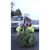 Volunteers needed for Hospice Charity’s Christmas tree collection!
