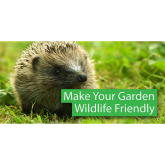 Attract Wildlife to your Garden this Spring 