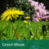 Call to get involved in Green Week