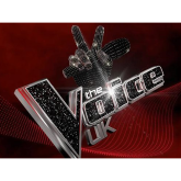 Here's when you can audition for The Voice in Pontypridd