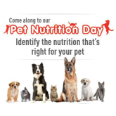 Get advice about your pets nutrition