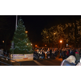 Join Peace Hospice Care for their Lights of Love remembrance ceremony 