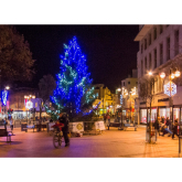 What's happening in Hastings over the Christmas period?