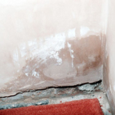 Things to Consider when Damp Proofing Your Home
