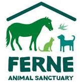 Ferne Animal Sanctuary’s annual Fun Dog show will be taking place on Saturday the 1st of September.