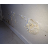 What is rising damp?