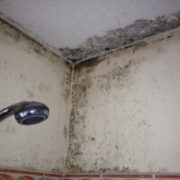 Condensation and Mould Growth