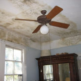 Dampness, Condensation and Mould