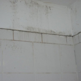 How to deal with Mould