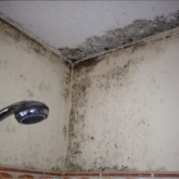 Is There Such Thing as Too Much Insulation? The Secret Cause of Mould