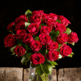 Reliable Roses: Which Roses Are Easiest To Grow?