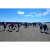 CancerCare's Annual Cross Bay Challenge