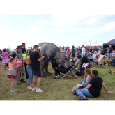 Exmouth 2019 Dinosaur Trail Launched