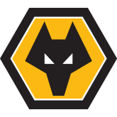 Fosun International will be Wolves’ shirt sponsor for the Premier League Asia Trophy this week.