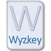 How IT Support Wyzkey Helps Your Local Business