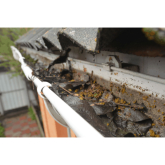 What Price For A Gutter Clean?