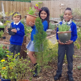 Green-fingered tribute attracts nationwide support