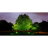 Going green to celebrate our awarding wining parks and open spaces in #Epsom #GreenFlagAward 