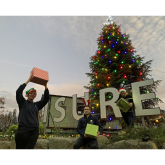 Decorated Christmas tree brings early festive cheer to Shrewsbury 