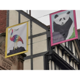 Children's flags add to colourful display in Shrewsbury
