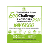 The Bailiwick School Eco-Challenge