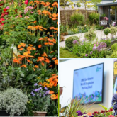 A SPECIAL EDITION OF BBC GARDENERS’ WORLD LIVE COMES TO BIRMINGHAM FOR A LATE SUMMER CELEBRATION OF GARDENS AND GARDENING