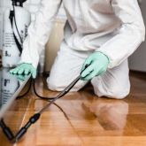 Where Can You Get the Qualified Pest Control Service On a Budget?