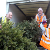 Go green and TreeCycle this winter to support St Giles Hospice