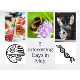 Five Interesting Days in May