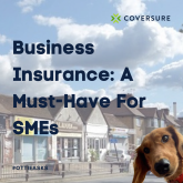 Business insurance: A Must For SMEs