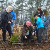 Ten acres of tree-planting at Manorial Wood