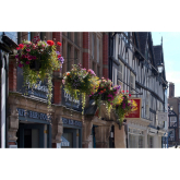 Businesses urged to help make Shrewsbury a sea of colour
