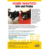 Meet KIWI and PEMBA looking for a home - #Epsom & Ewell Cats Protection @Epsom_CP #giveacatahome